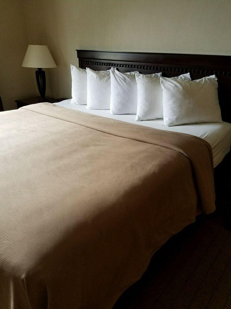 Quality Inn Флоренс Экстерьер фото